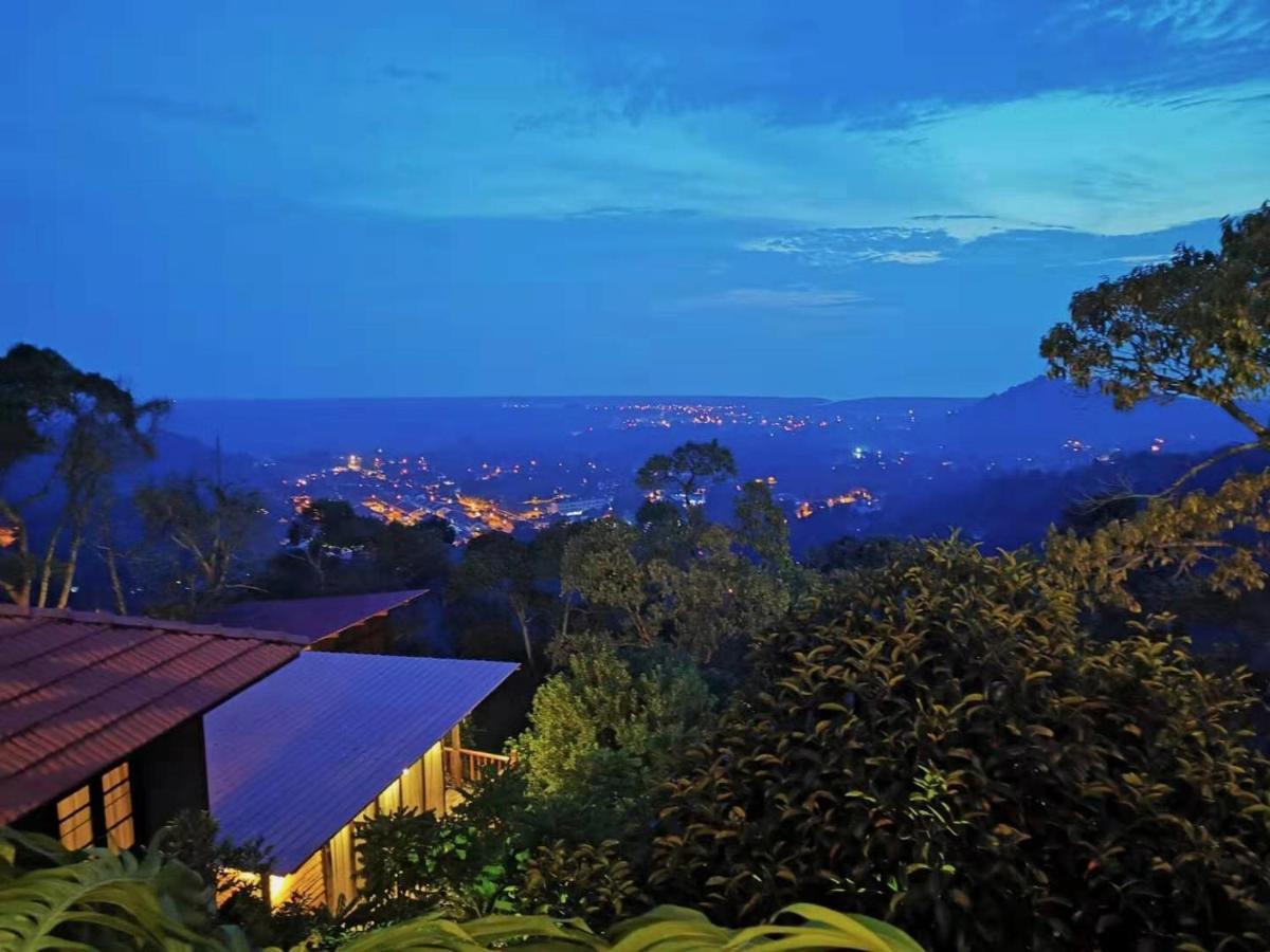 Bao Sheng Durian Farm Villa Balik Pulau Bagian luar foto
