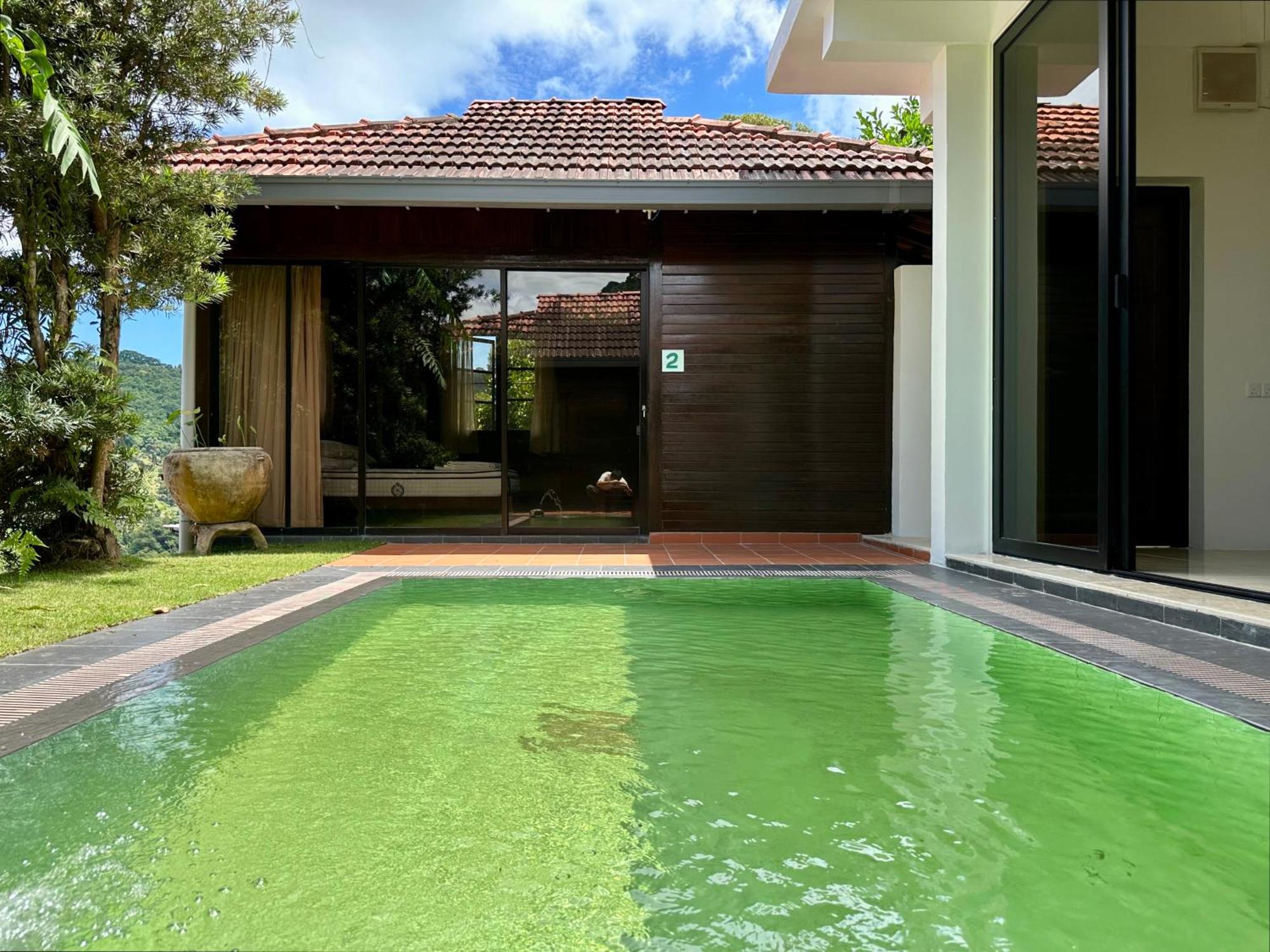 Bao Sheng Durian Farm Villa Balik Pulau Bagian luar foto