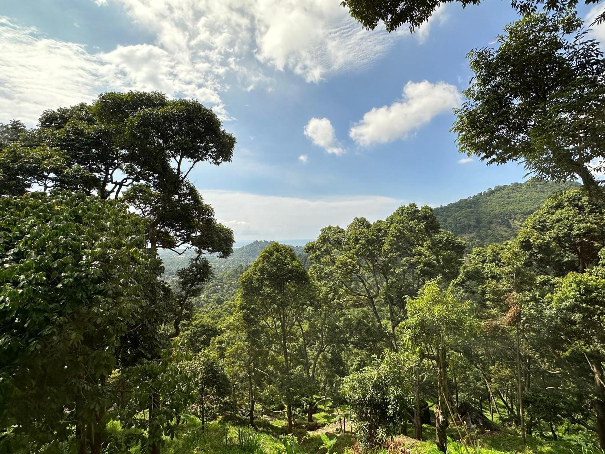 Bao Sheng Durian Farm Villa Balik Pulau Bagian luar foto